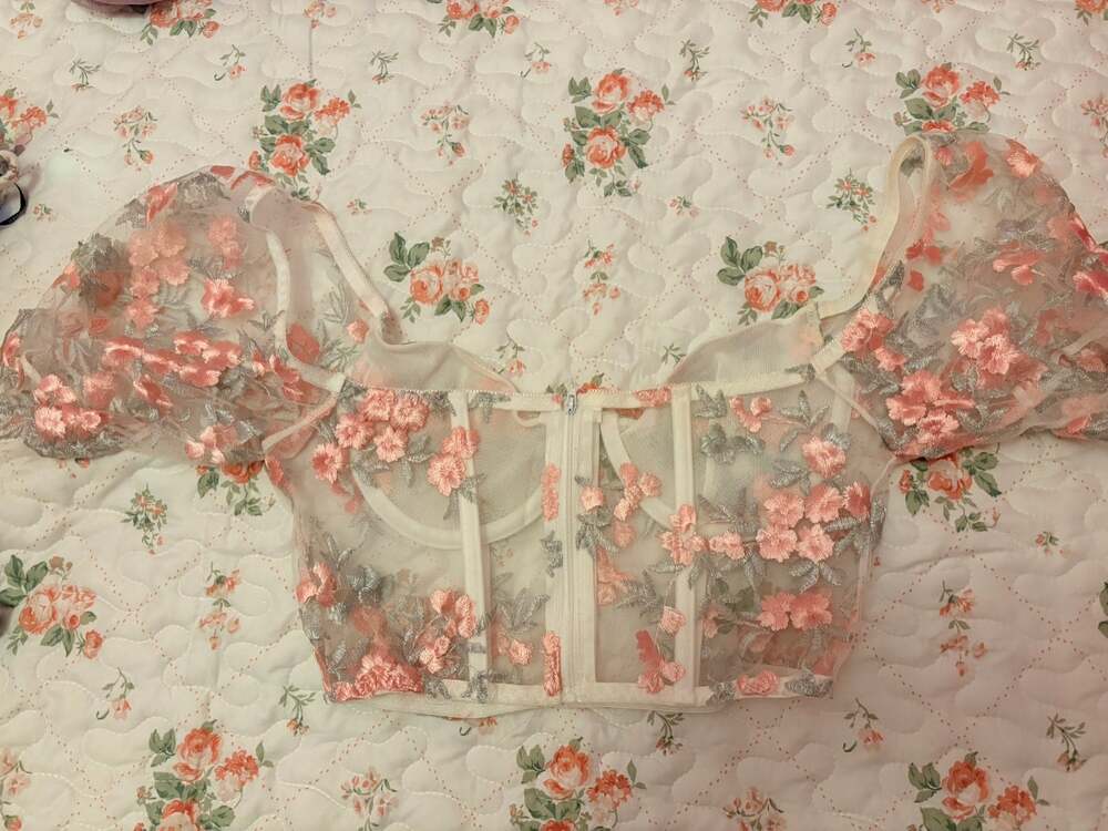 Pink Floral Embroidered Mesh Corset Crop Top Puff Sleeve Zip Back Bustier Sz S